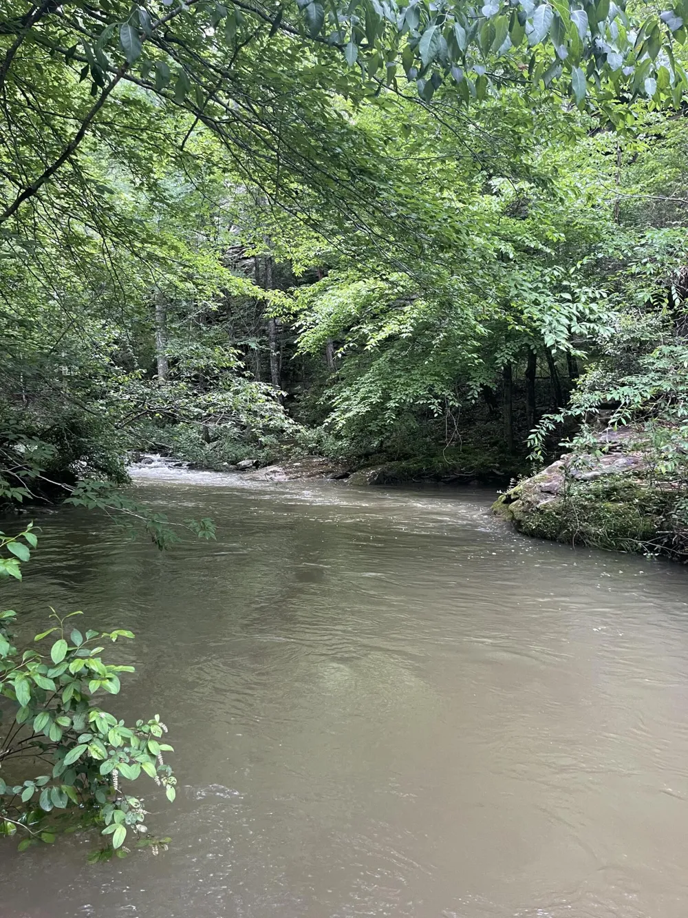 778 County Road 65 Collinsville, AL 35961