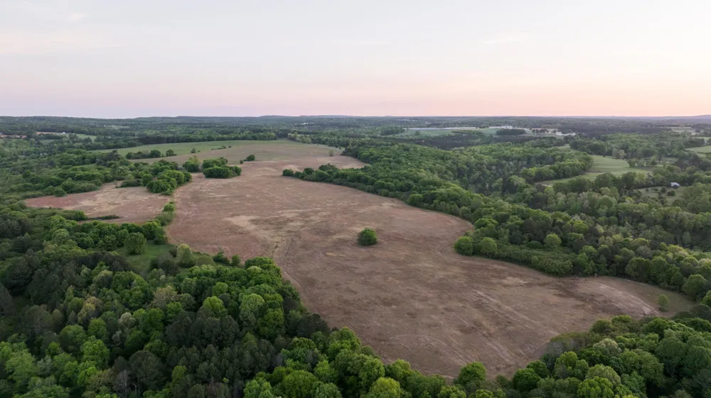 778 County Road 65 Collinsville, AL 35961