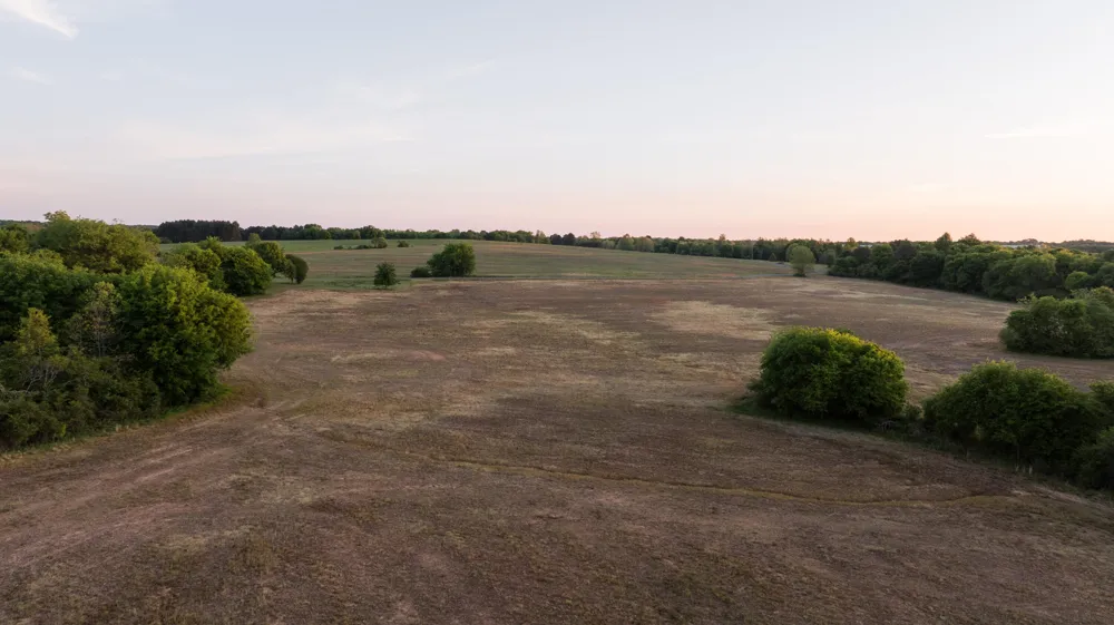 778 County Road 65 Collinsville, AL 35961