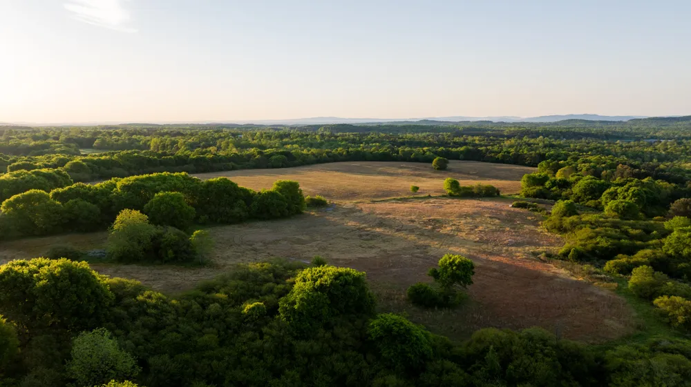 778 County Road 65 Collinsville, AL 35961