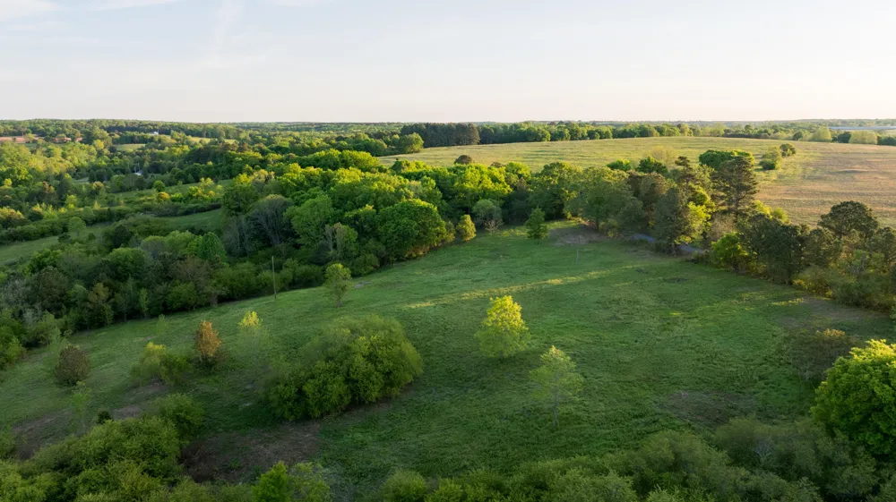 778 County Road 65 Collinsville, AL 35961