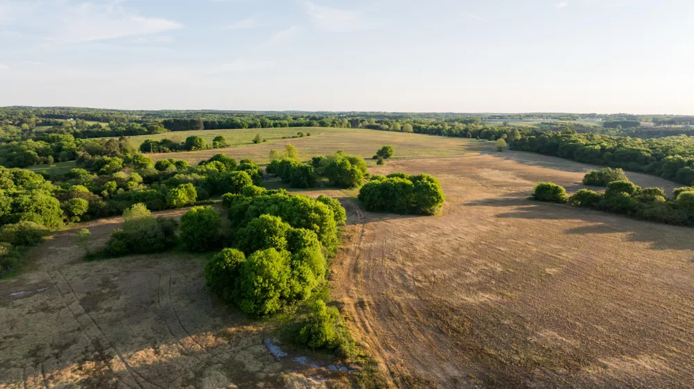 778 County Road 65 Collinsville, AL 35961