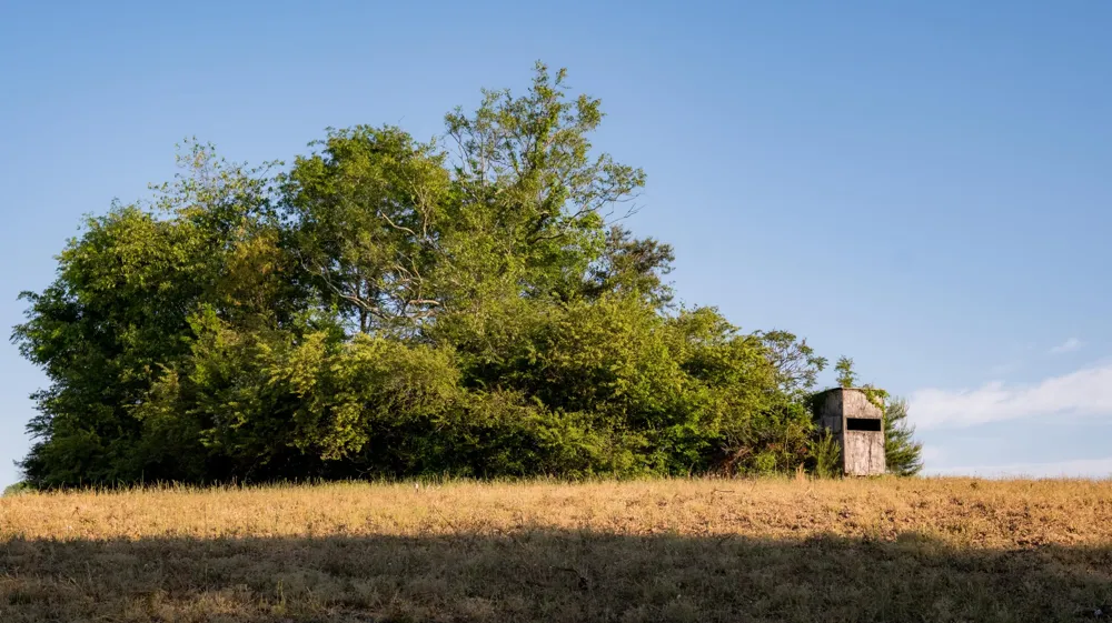 778 County Road 65 Collinsville, AL 35961