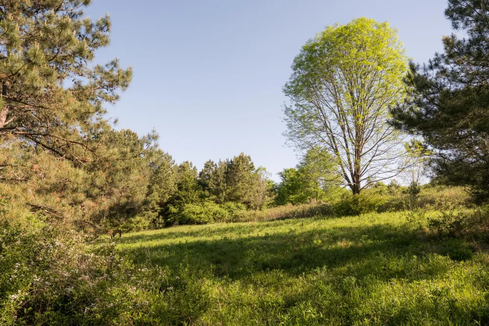 778 County Road 65 Collinsville, AL 35961