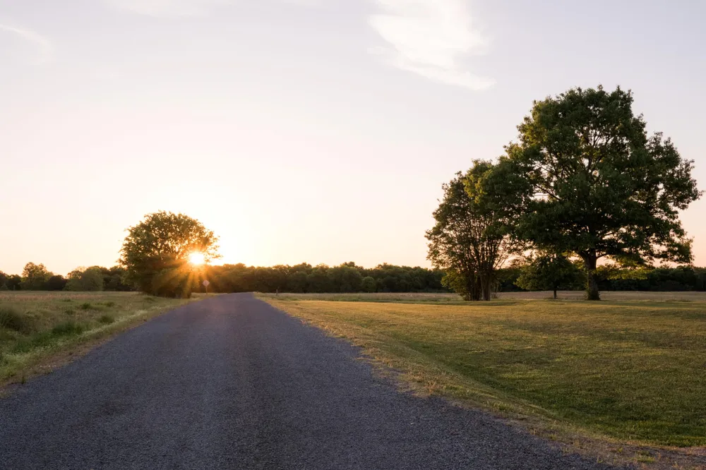 778 County Road 65 Collinsville, AL 35961