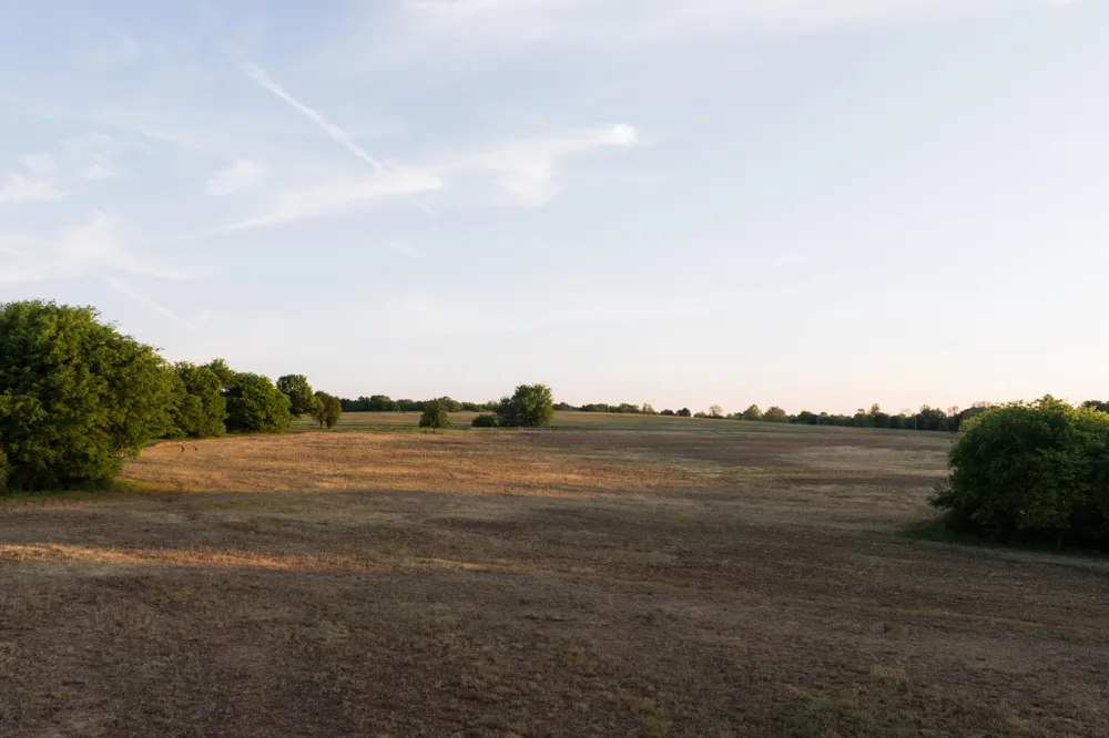778 County Road 65 Collinsville, AL 35961