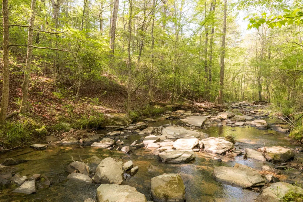 778 County Road 65 Collinsville, AL 35961