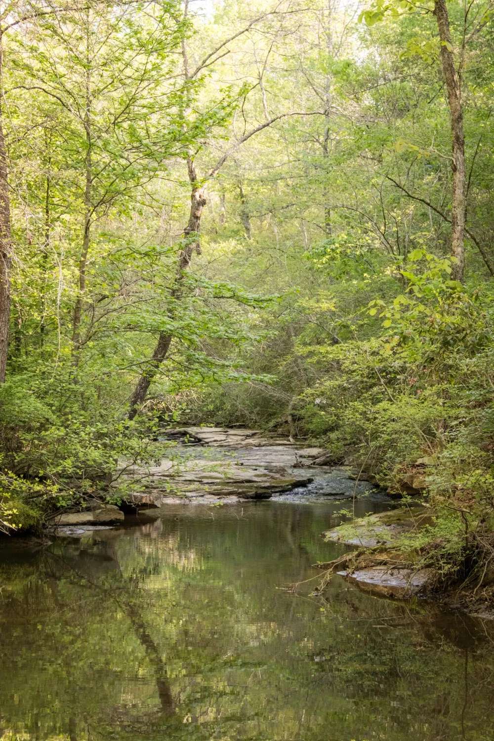 778 County Road 65 Collinsville, AL 35961
