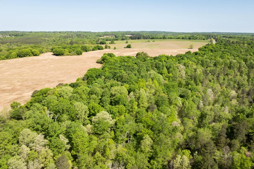 778 County Road 65 Collinsville, AL 35961