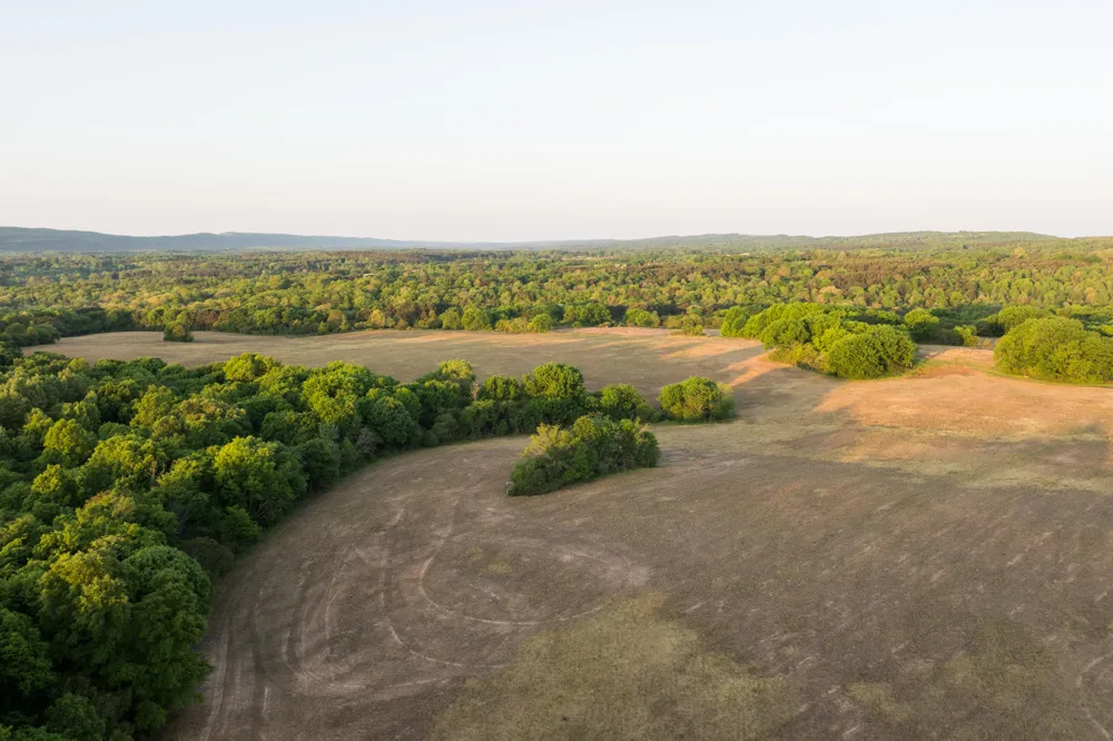778 County Road 65 Collinsville, AL 35961