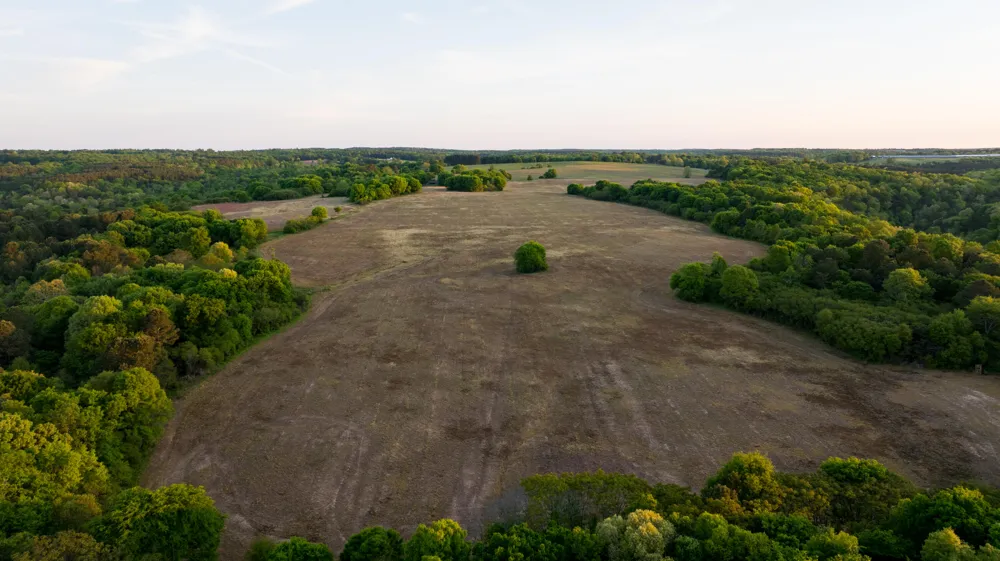 778 County Road 65 Collinsville, AL 35961