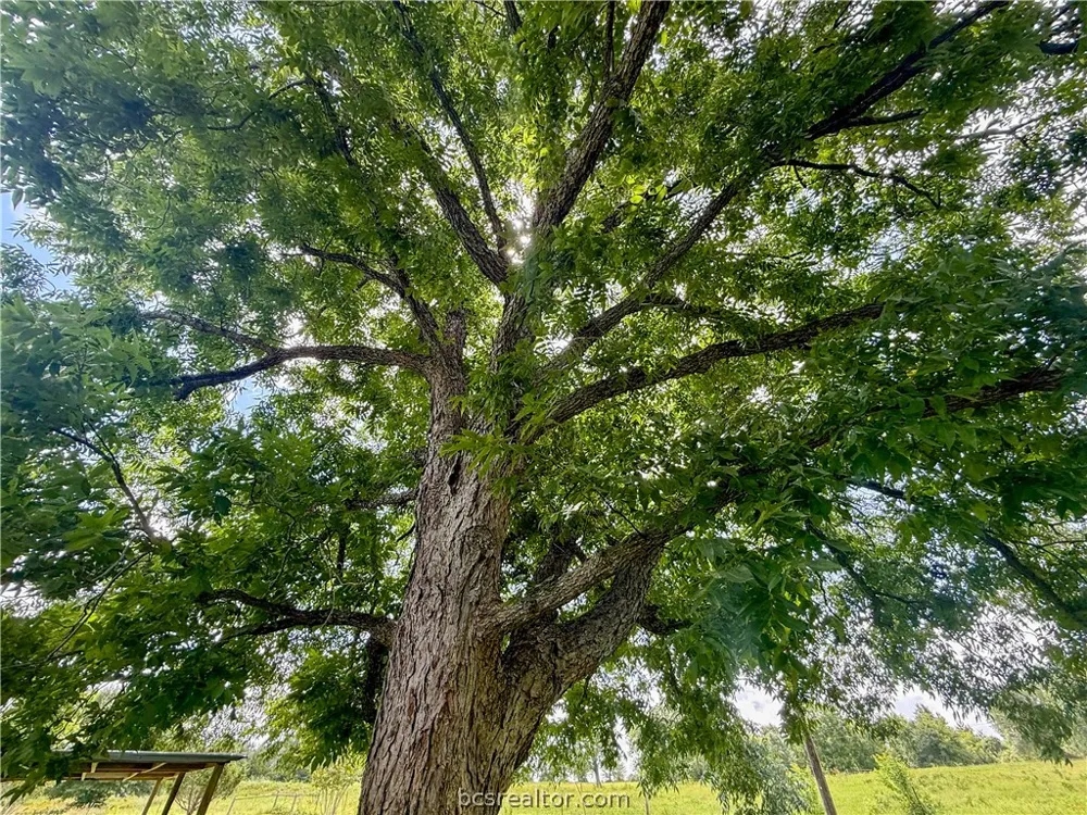 2433 County Road 409 Navasota, TX 77868