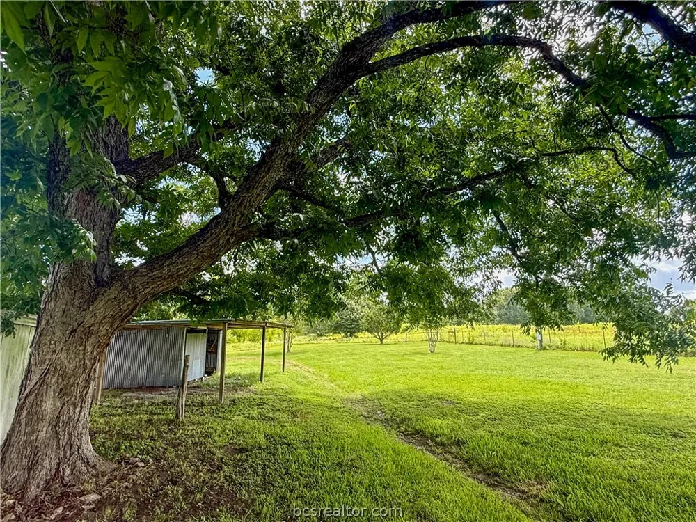 2433 County Road 409 Navasota, TX 77868