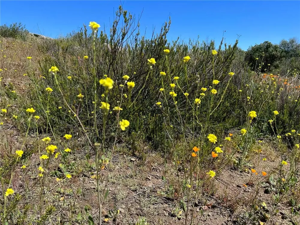 Stanley Road Hemet, CA 92544
