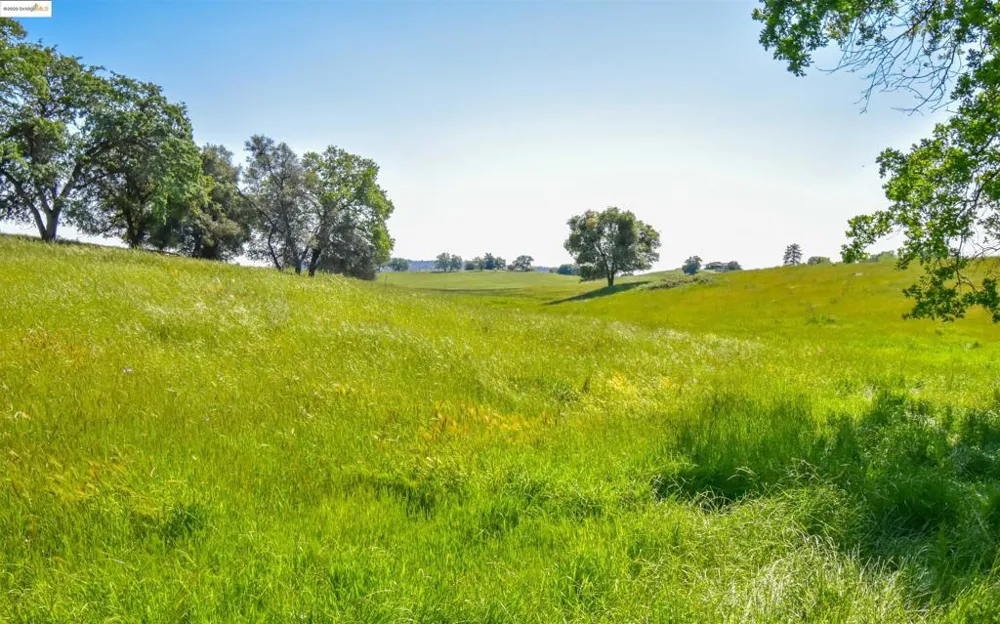 9325 Fraguero Sonora, CA 95370
