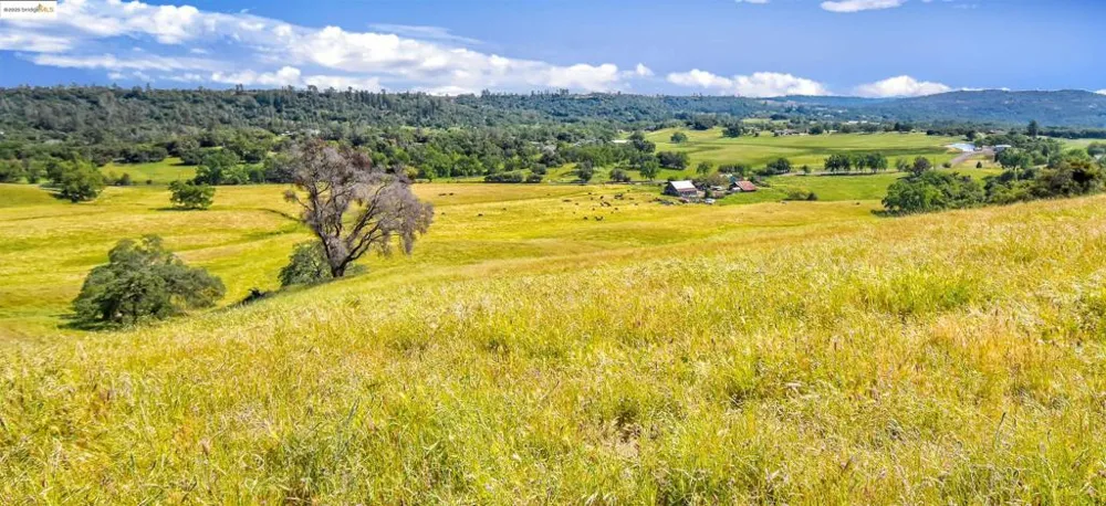 9325 Fraguero Sonora, CA 95370