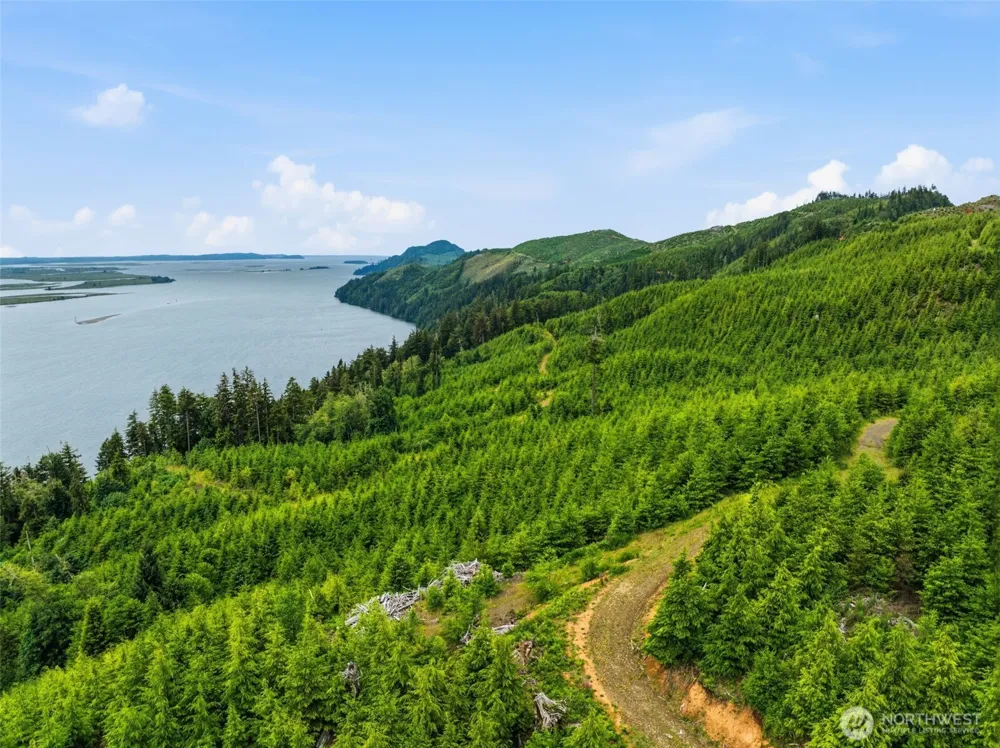 0 PID 6465 State Route 4 Highway Skamokawa, WA 98647