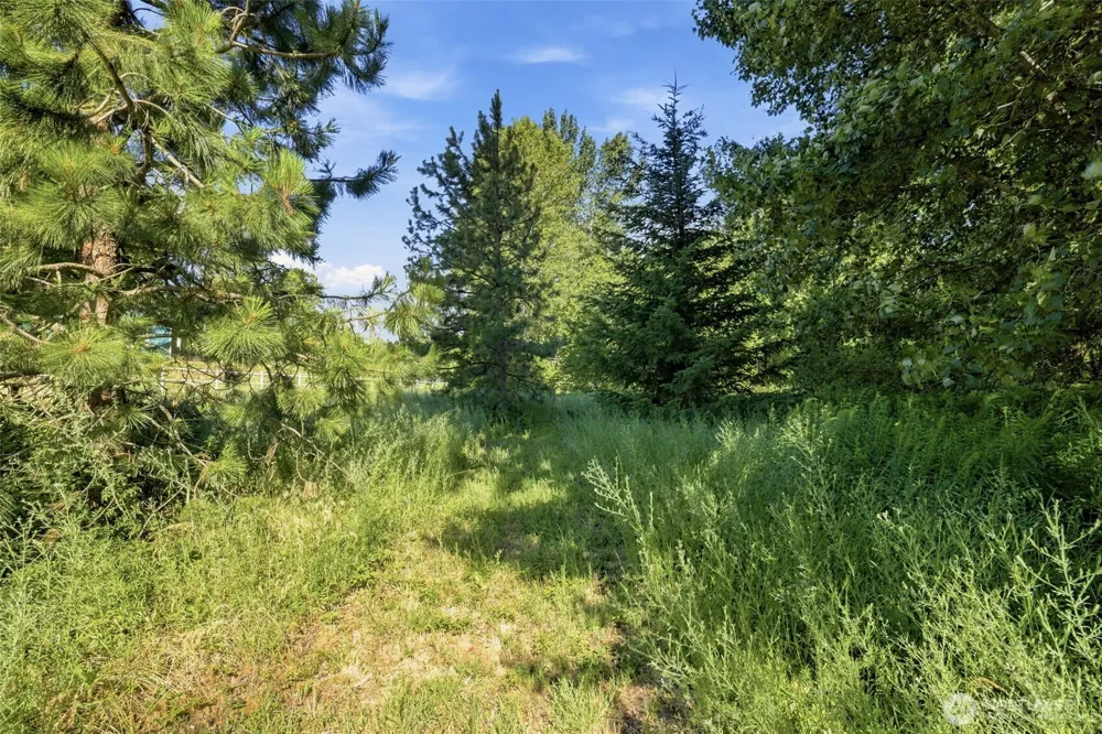 365 Black Bear Drive Cle Elum, WA 98922