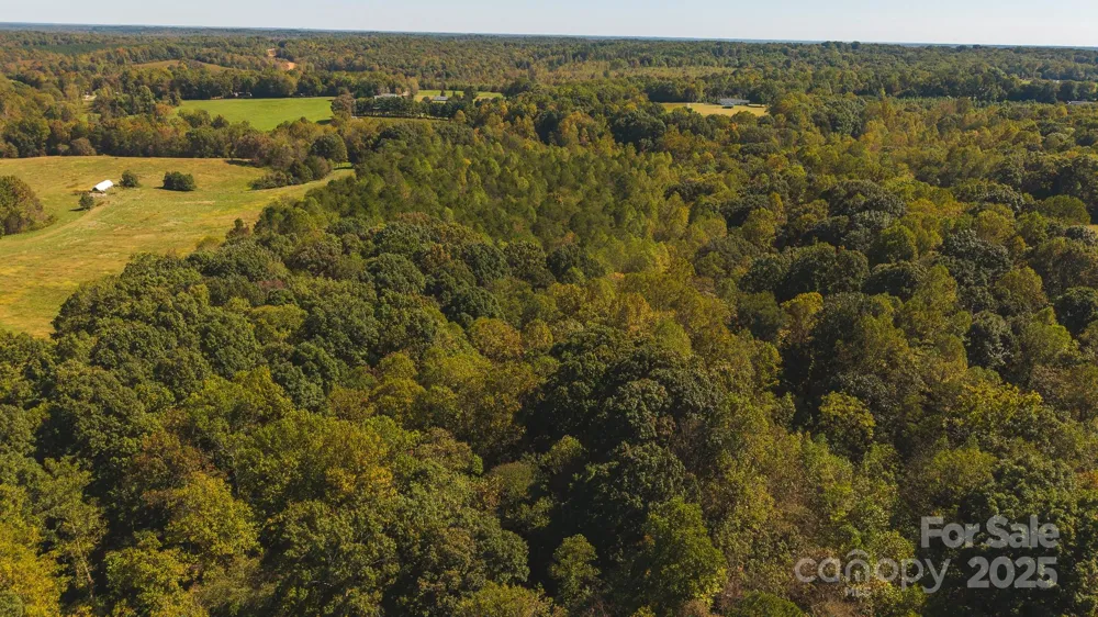 TBD US Highway 21 Highway Hamptonville, NC 27020