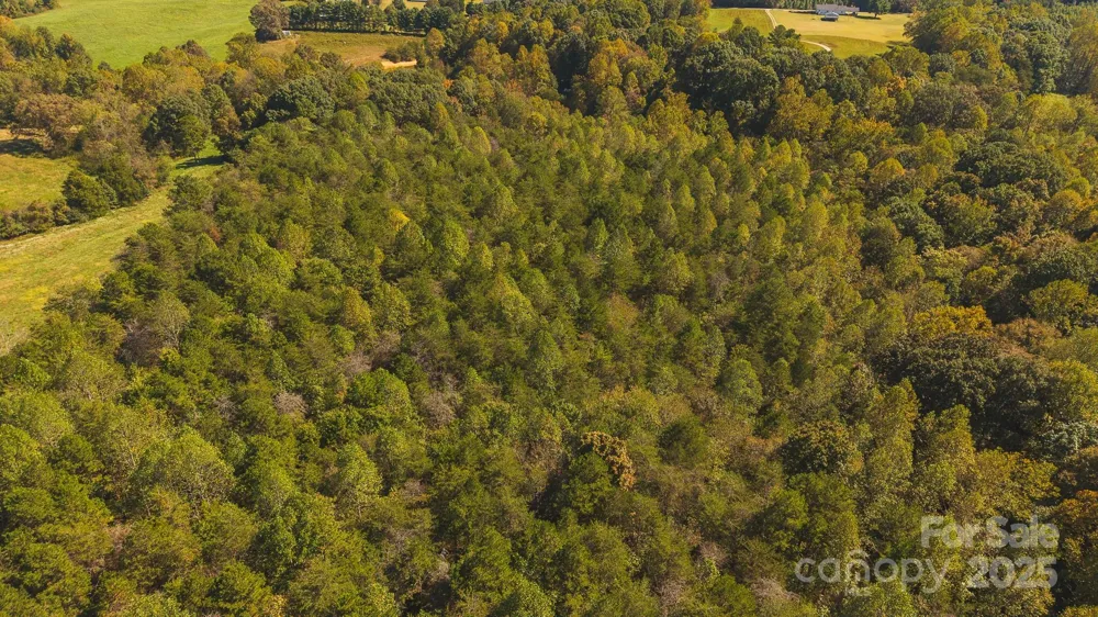 TBD US Highway 21 Highway Hamptonville, NC 27020