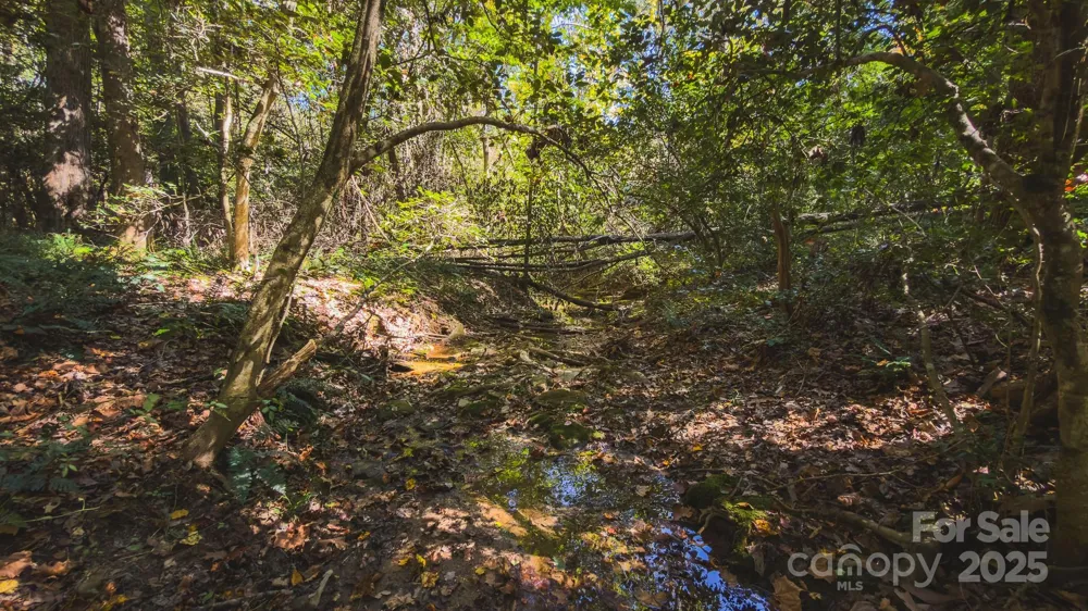 TBD US Highway 21 Highway Hamptonville, NC 27020