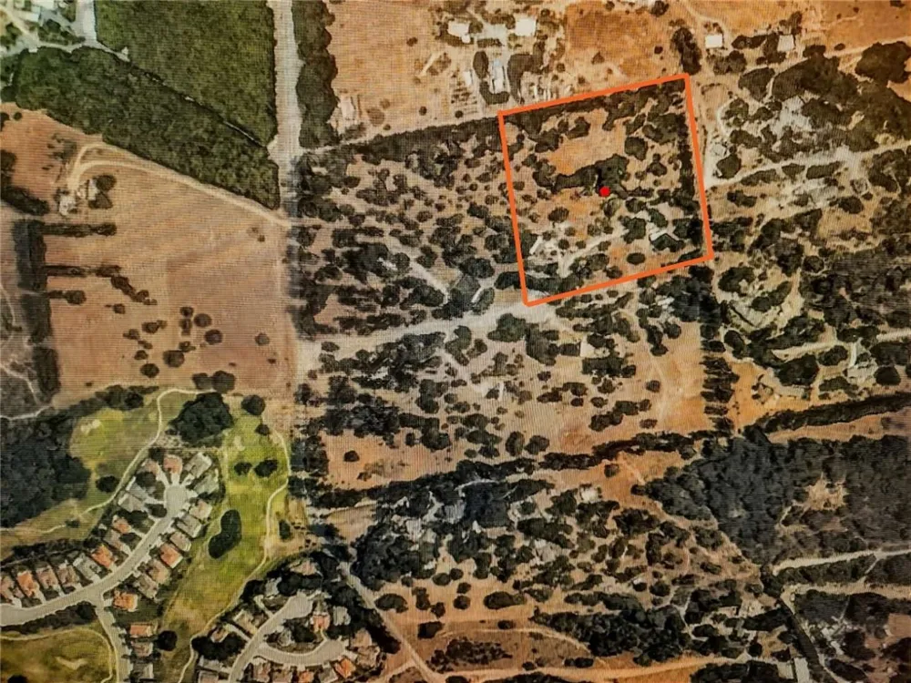 1116 Rolling Oaks Drive Arroyo Grande, CA 93420