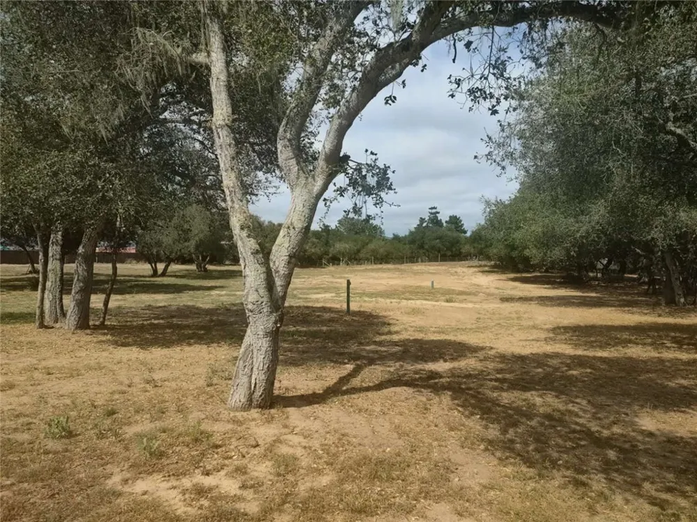 1116 Rolling Oaks Drive Arroyo Grande, CA 93420