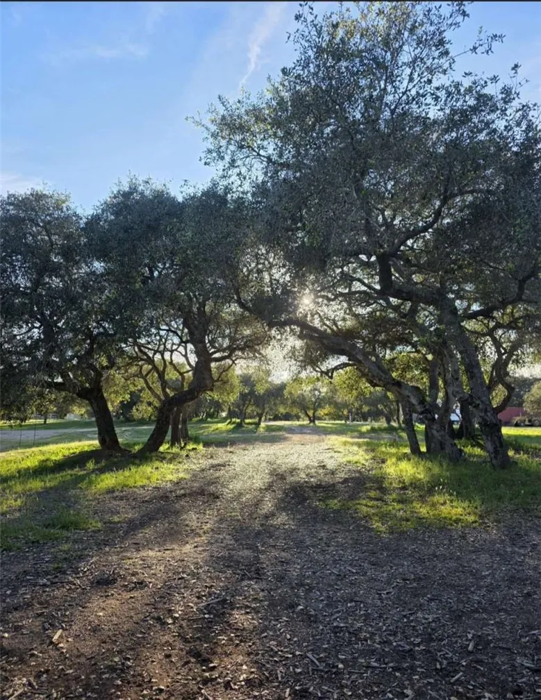 1116 Rolling Oaks Drive Arroyo Grande, CA 93420