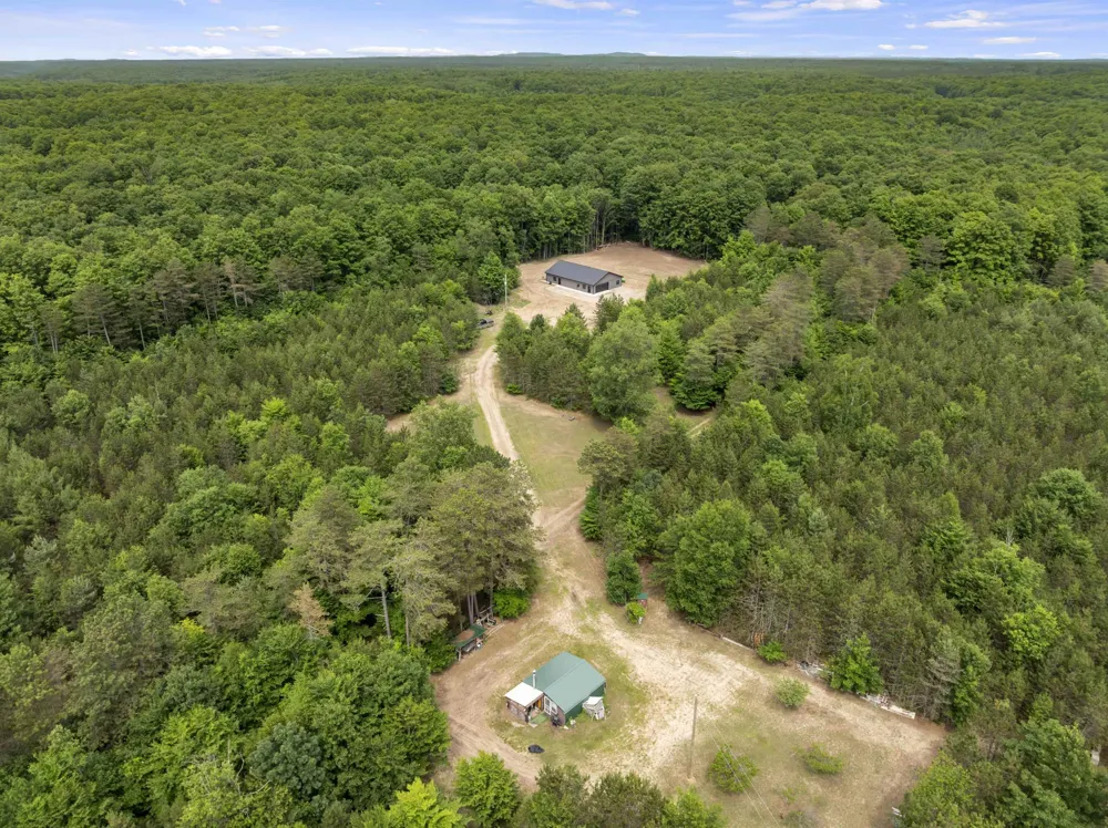 4459 Ely Road Platte Township, MI 49640