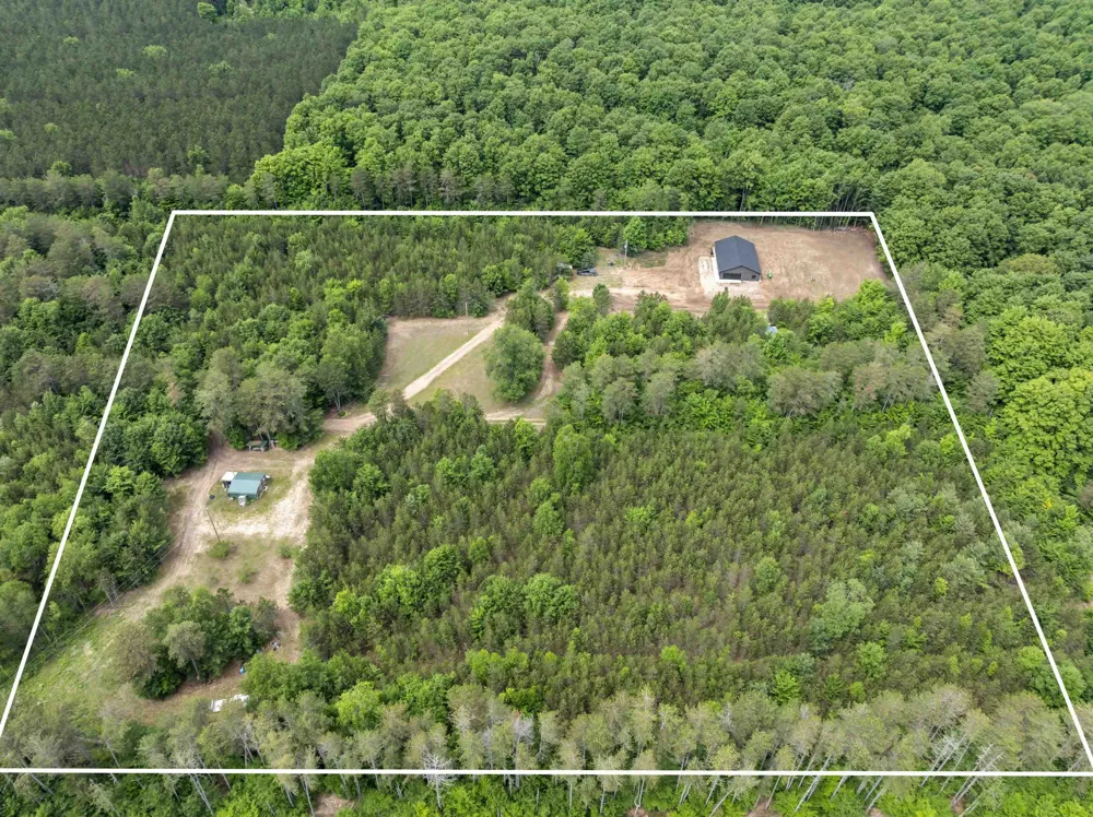 4459 Ely Road Platte Township, MI 49640