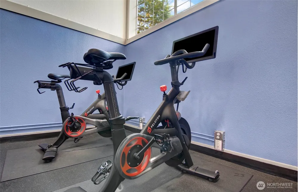 12303 Harbour Pointe Boulevard #CC202 Mukilteo, WA 98275