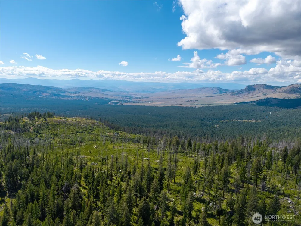 370 Thompson Road Riverside, WA 98849