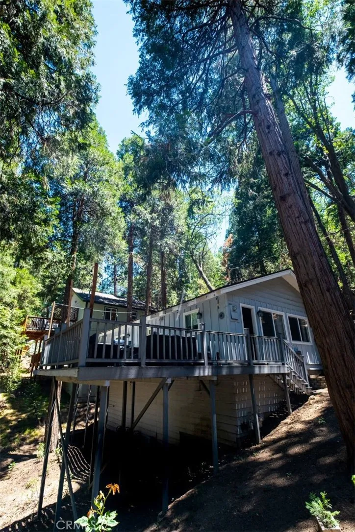 29054 Alder Ter Cedar Glen, CA 92321