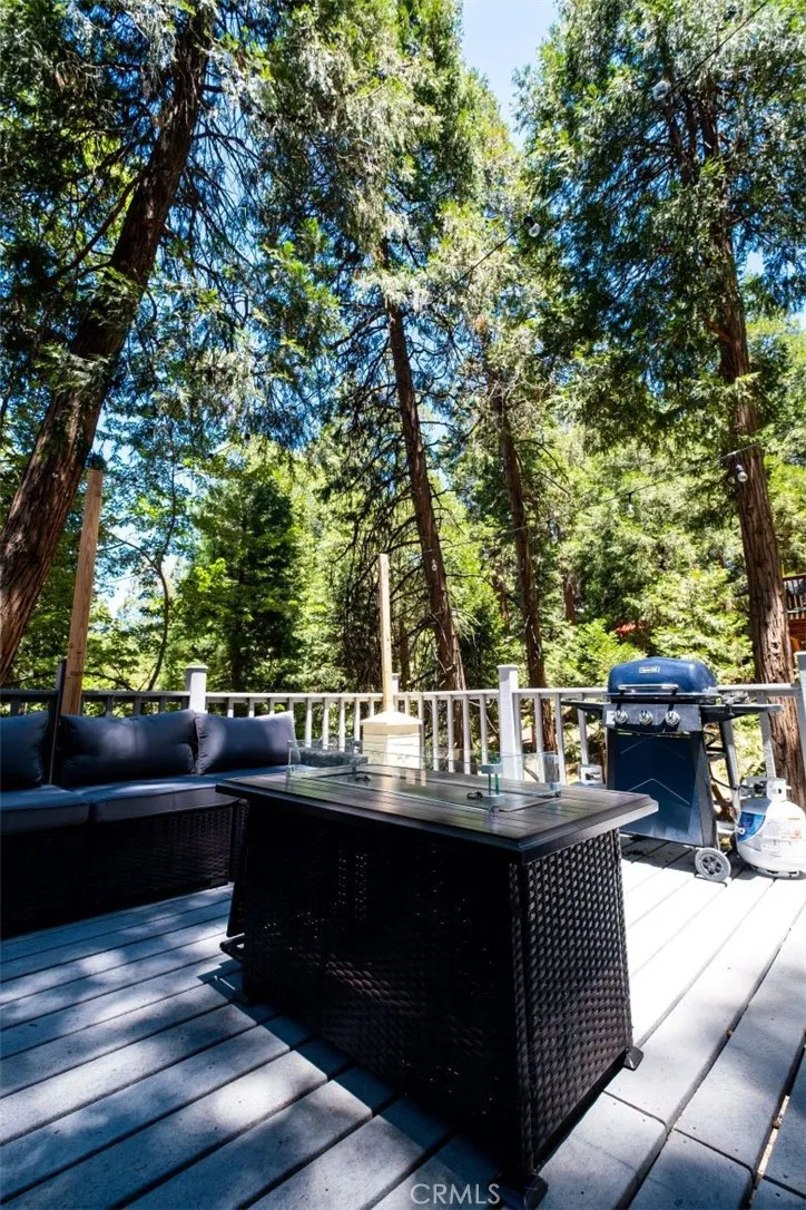 29054 Alder Ter Cedar Glen, CA 92321
