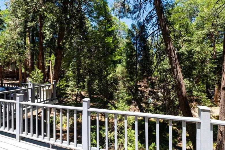 29054 Alder Ter Cedar Glen, CA 92321