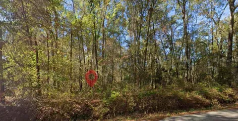 IAMONIA LANDING ROAD