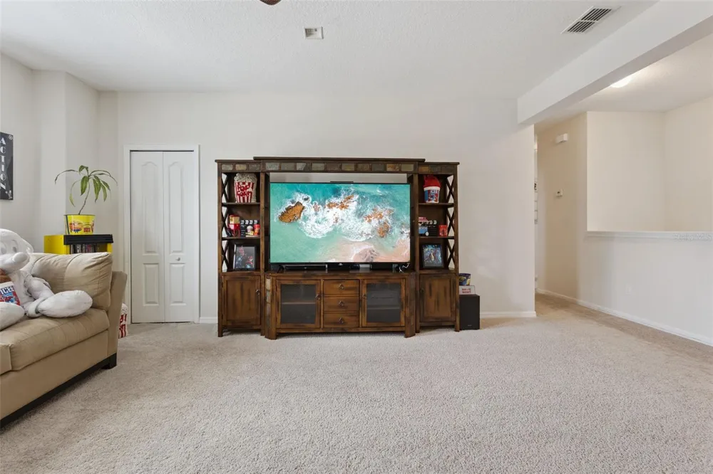 2514 PLUMADORE DRIVE Grand Island, FL 32735