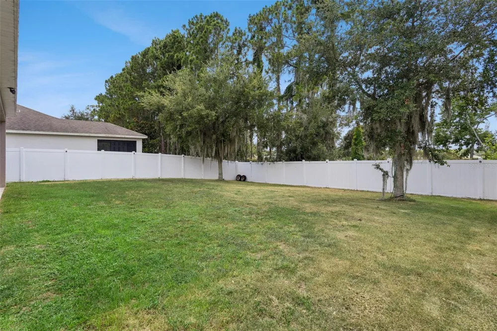 2514 PLUMADORE DRIVE Grand Island, FL 32735