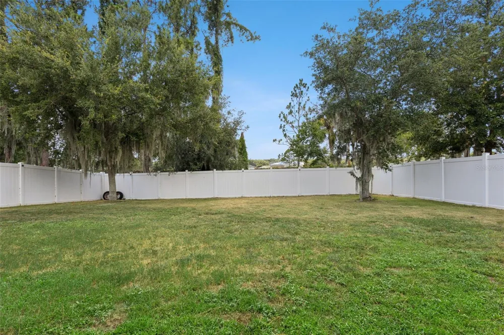 2514 PLUMADORE DRIVE Grand Island, FL 32735