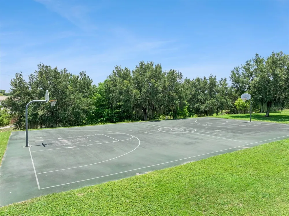 2514 PLUMADORE DRIVE Grand Island, FL 32735