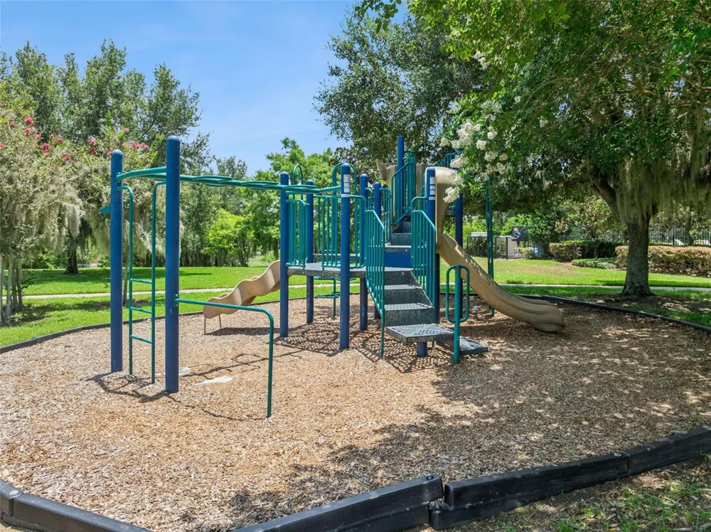 2514 PLUMADORE DRIVE Grand Island, FL 32735