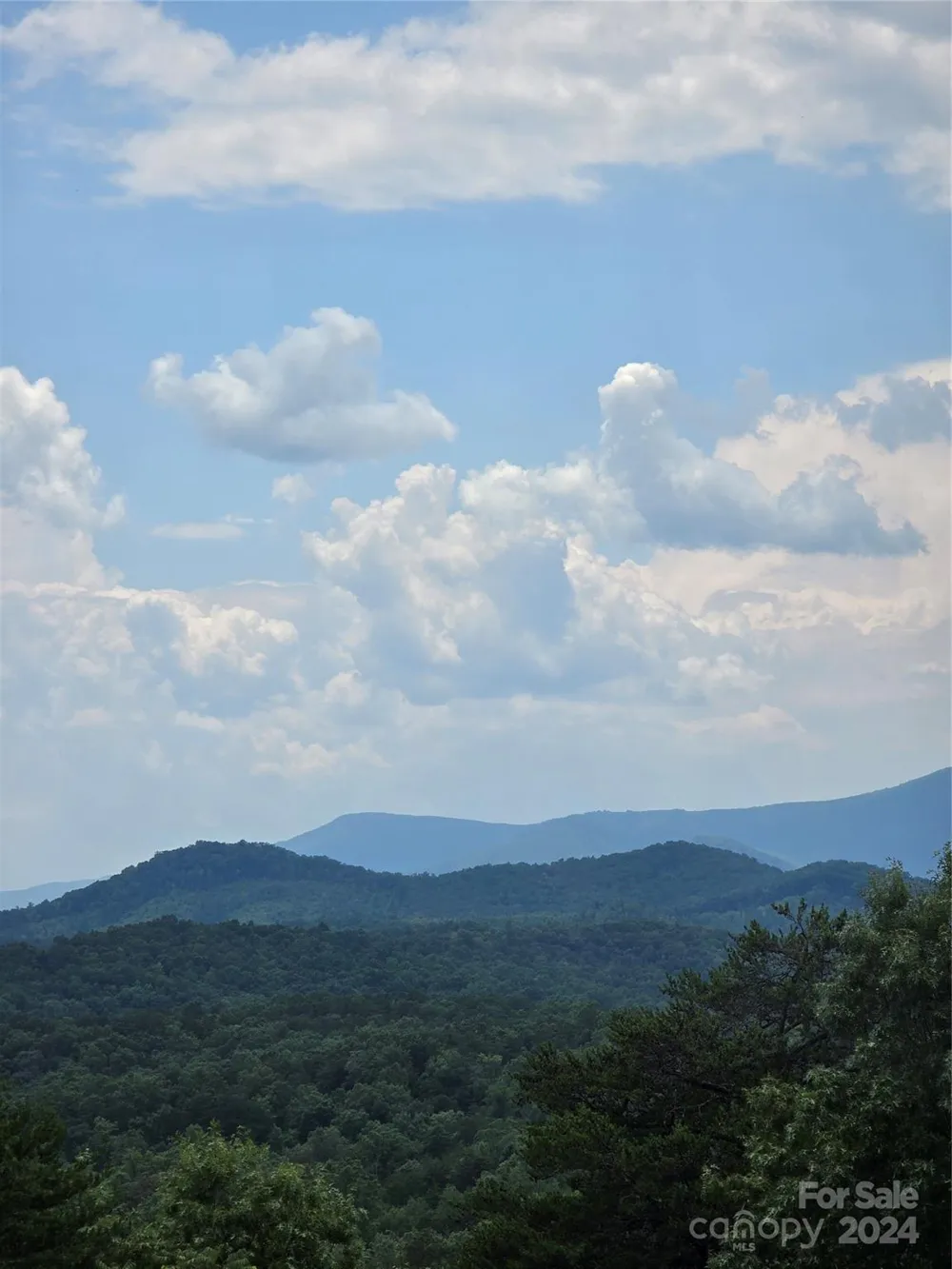 290 Boland Drive Lake Lure, NC 28746