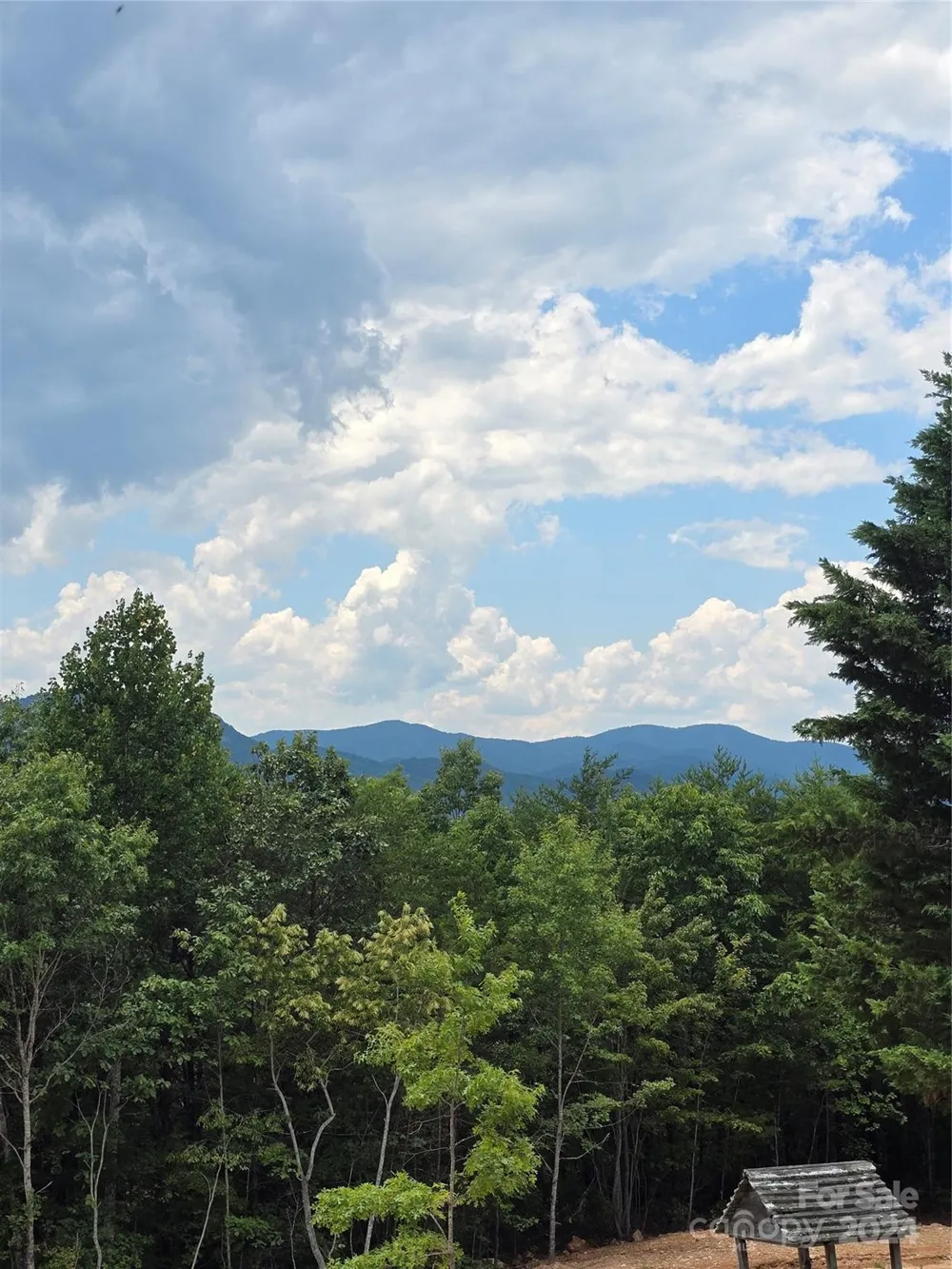290 Boland Drive Lake Lure, NC 28746