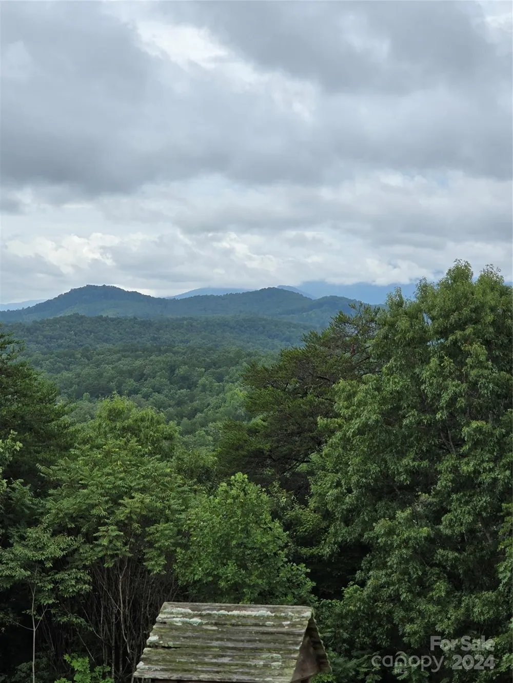 290 Boland Drive Lake Lure, NC 28746
