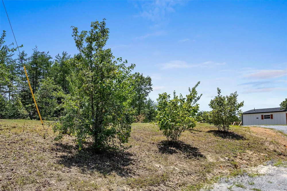 290 Boland Drive Lake Lure, NC 28746