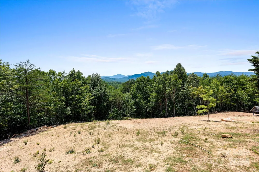 290 Boland Drive Lake Lure, NC 28746