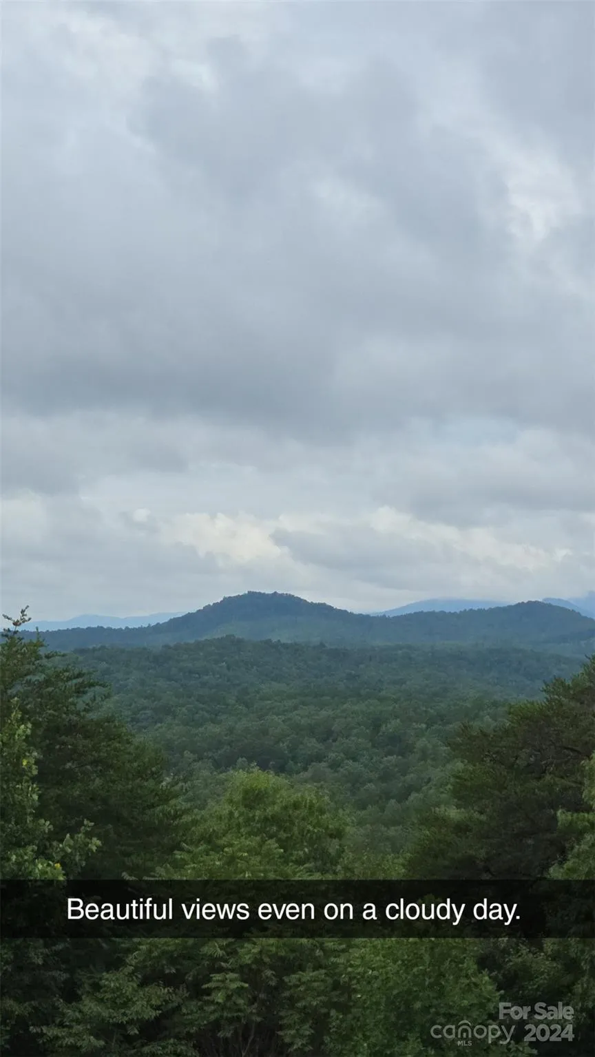 290 Boland Drive Lake Lure, NC 28746