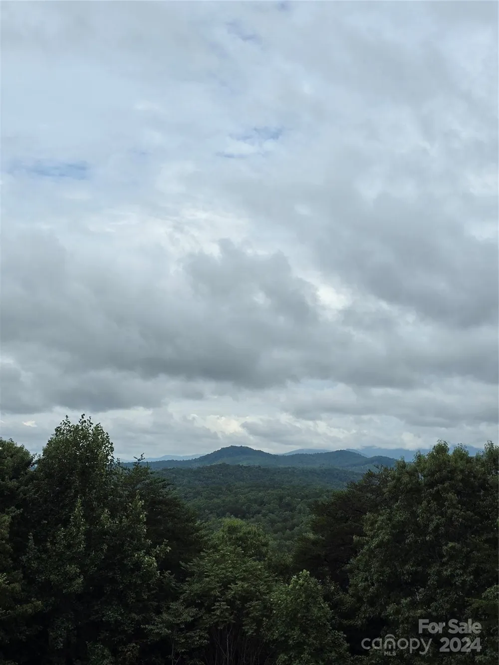 290 Boland Drive Lake Lure, NC 28746