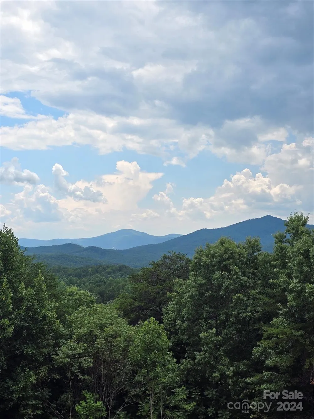 290 Boland Drive Lake Lure, NC 28746