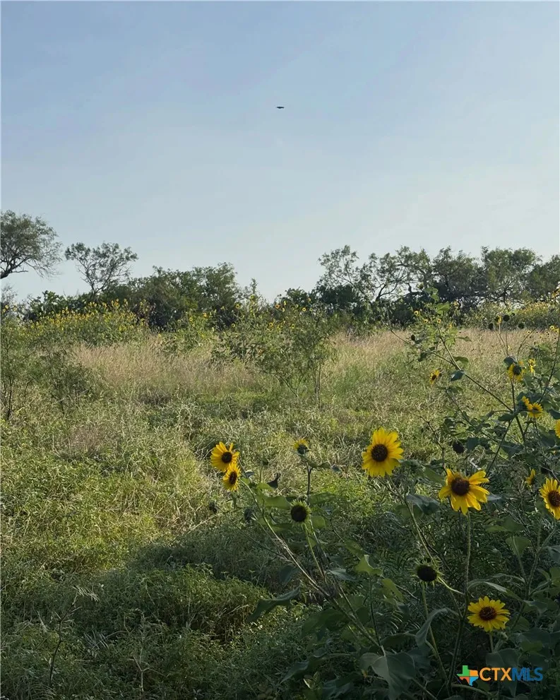 4567 Luther Road Seguin, TX 78155